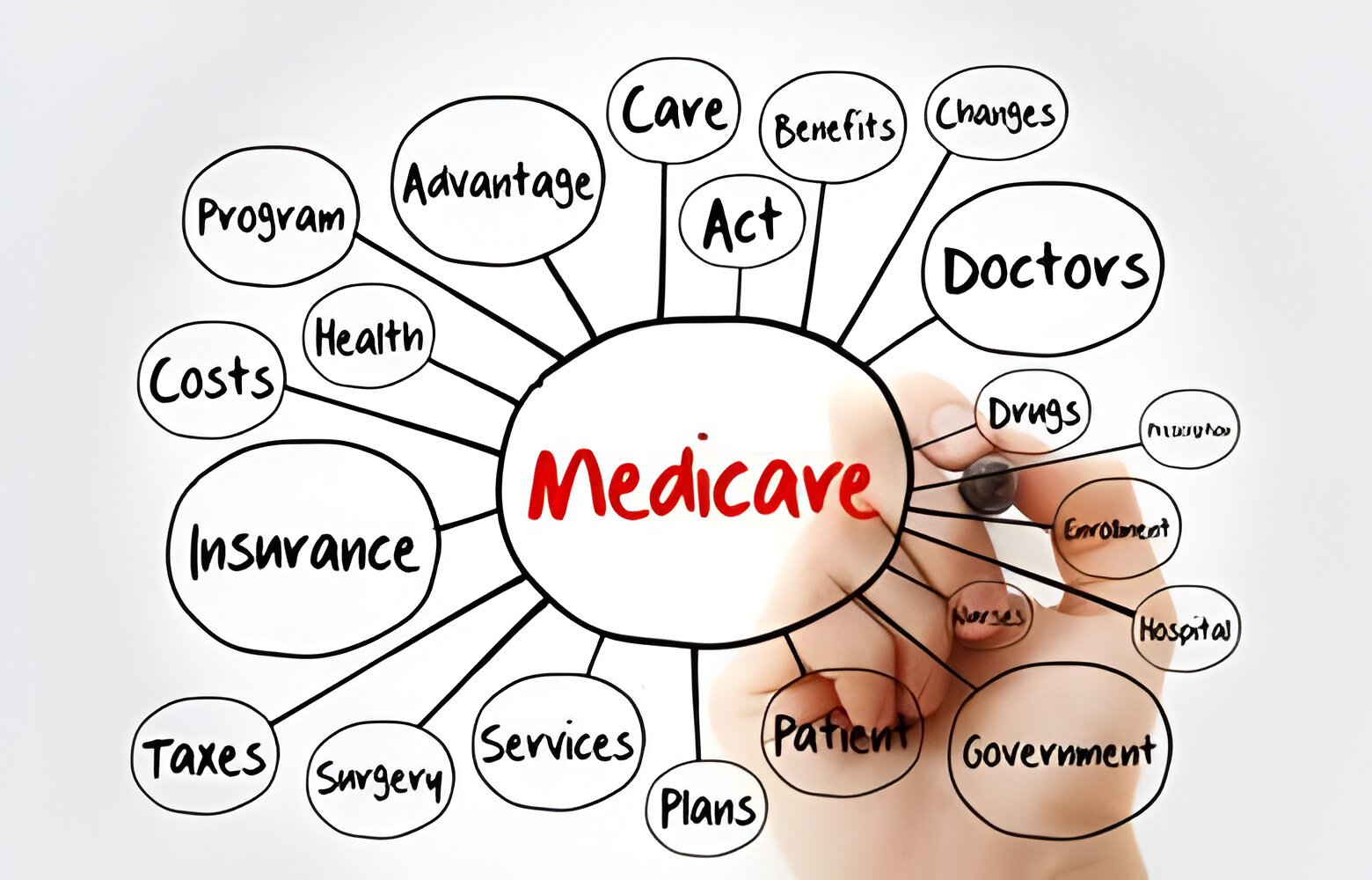 Can Medicaid Seize Life Insurance